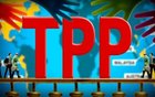 美国这个“群主”退群几乎板上钉钉  TPP前途未卜