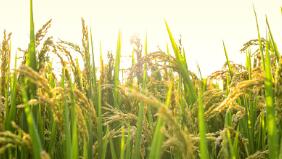 ҷί7ţ2025ȫ½1000԰